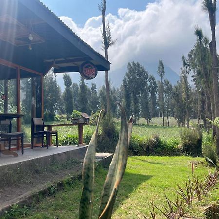 Gangga Guest House Bromo Ngadisari Экстерьер фото